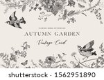 autumn garden. vector... | Shutterstock .eps vector #1562951890