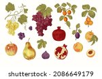 harvest. set. fruit and berry.... | Shutterstock .eps vector #2086649179