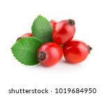 Rosehip isolated on a white background