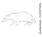 badger isolated wild animal... | Shutterstock .eps vector #2119377656