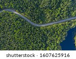 The time of year is summer. Road through a country of pine forests and lakes aerial view