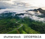 Aerial view of road In beautiful green forest and low clouds