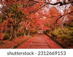 Japan autumn. Kyoto Bishamon-do temple entrance gate covered with red leaves.