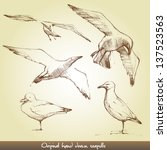 Original Hand Drawn Seagulls