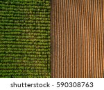 Aerial View   Rows Of Soil...