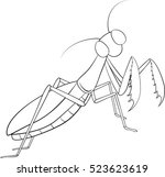 hand drawing  sketch  mantis on ... | Shutterstock .eps vector #523623619