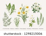 Set With Spring Flowers. Vector ...