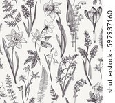 vintage seamless floral pattern.... | Shutterstock .eps vector #597937160