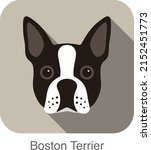 Boston Terrier Dog Character ...