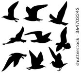 sea gull silhouette isolated | Shutterstock .eps vector #364703243