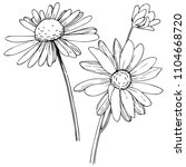 daisy in a vector style... | Shutterstock .eps vector #1104668720