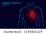 Human Heart Free Stock Photo - Public Domain Pictures