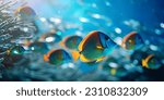 Tropical sea underwater fishes...