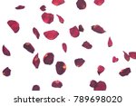 Dry Rose Petals On White...