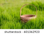Empty Basket Green Meadow
