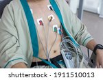 heart electrocardiogram or... | Shutterstock . vector #1911510013