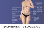 plastic surgery illustration... | Shutterstock .eps vector #1569383713