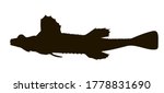 sea poacher. northwest pacific... | Shutterstock .eps vector #1778831690