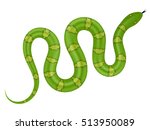 Green Snake Vector Illustration....