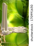 digital illustration of  leg... | Shutterstock . vector #170991650