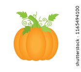 orange pumpkin with green... | Shutterstock .eps vector #1165494100