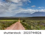 winding dirt road leading into the middle of nowhere with mountain background