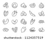 Nuts  Seeds And Beans Icon Set. ...