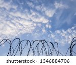 Razor Wire Coils On A Security...