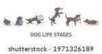 cartoon color character dog... | Shutterstock .eps vector #1971326189