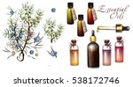 juniper essential oil in... | Shutterstock . vector #538172746