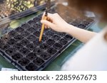 Small photo of Gardener sowing seeds into seedling trays, while sitting by the table outdoors, close-up