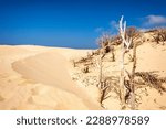 Spectacular sand dunes at duna de Bolonia, playa de Bolonia, Cádiz province, Andalusia, Spain.