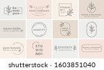 collection of natural organic... | Shutterstock .eps vector #1603851040