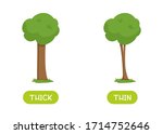 antonyms concept  thick and... | Shutterstock .eps vector #1714752646