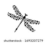 Beautiful Dragonfly Icon Vector ...