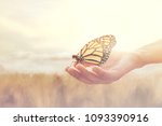 Small photo of sweet encounter between a human hand and a butterfly