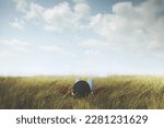 woman with hat relaxes in a meadow looking at the sky