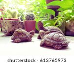 Turtle Ceramics In Mini...