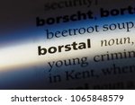 Small photo of borstal word in a dictionary. borstal concept.