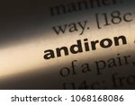 Small photo of andiron word in a dictionary. andiron concept.