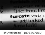 Small photo of furcate word in a dictionary. furcate concept