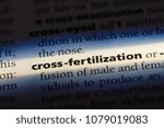 Small photo of cross fertilization word in a dictionary. cross fertilization concept