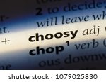 Small photo of choosy word in a dictionary. choosy concept