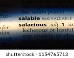 Small photo of salacious word in a dictionary. salacious concept.