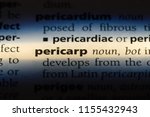 Small photo of pericarp word in a dictionary. pericarp concept.