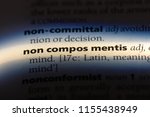 Small photo of non compos mentis word in a dictionary. non compos mentis concept.