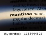 Small photo of mantissa word in a dictionary. mantissa concept.