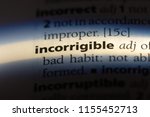 Small photo of incorrigible word in a dictionary. incorrigible concept.