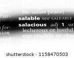 Small photo of salacious word in a dictionary. salacious concept.