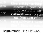 Small photo of nitwit word in a dictionary. nitwit concept.